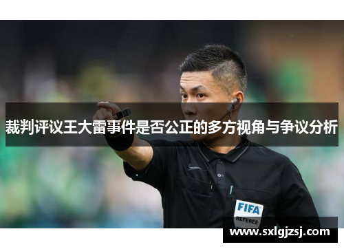 裁判评议王大雷事件是否公正的多方视角与争议分析